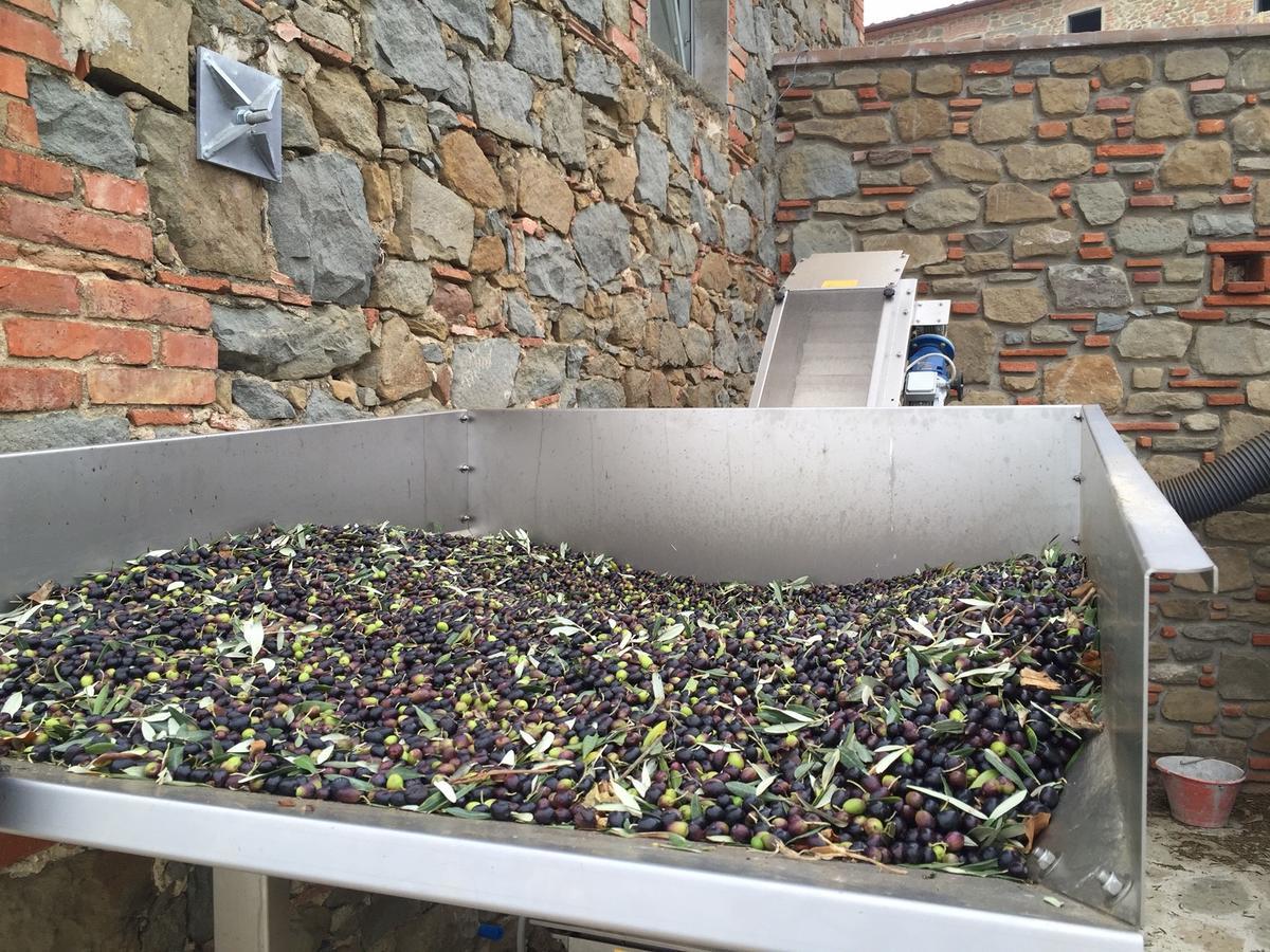 La Dispensa-Bio Agriturismo 兰波雷基奥 外观 照片
